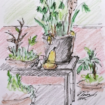 Terrasse